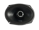 MEDIO RANGO 6X9"  DS18   DS-PROZT69